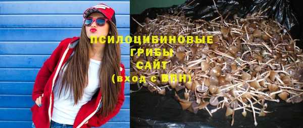 твердый Белоозёрский