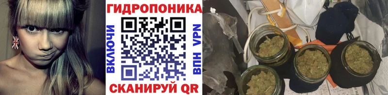 Канабис планчик  гидра вход  Иркутск  наркошоп 